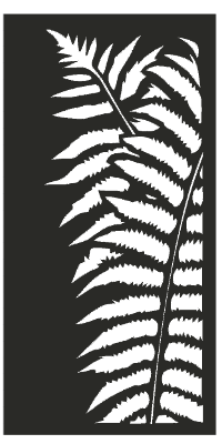 fern